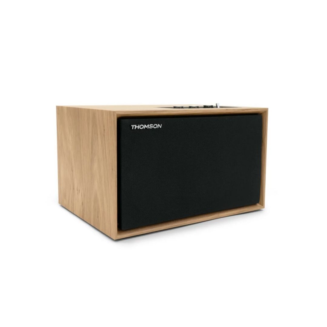 Thomson WS302 Speaker Wood