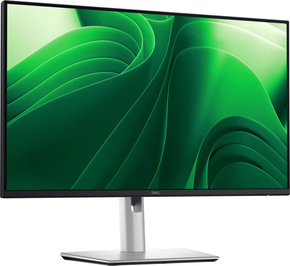 Dell 24