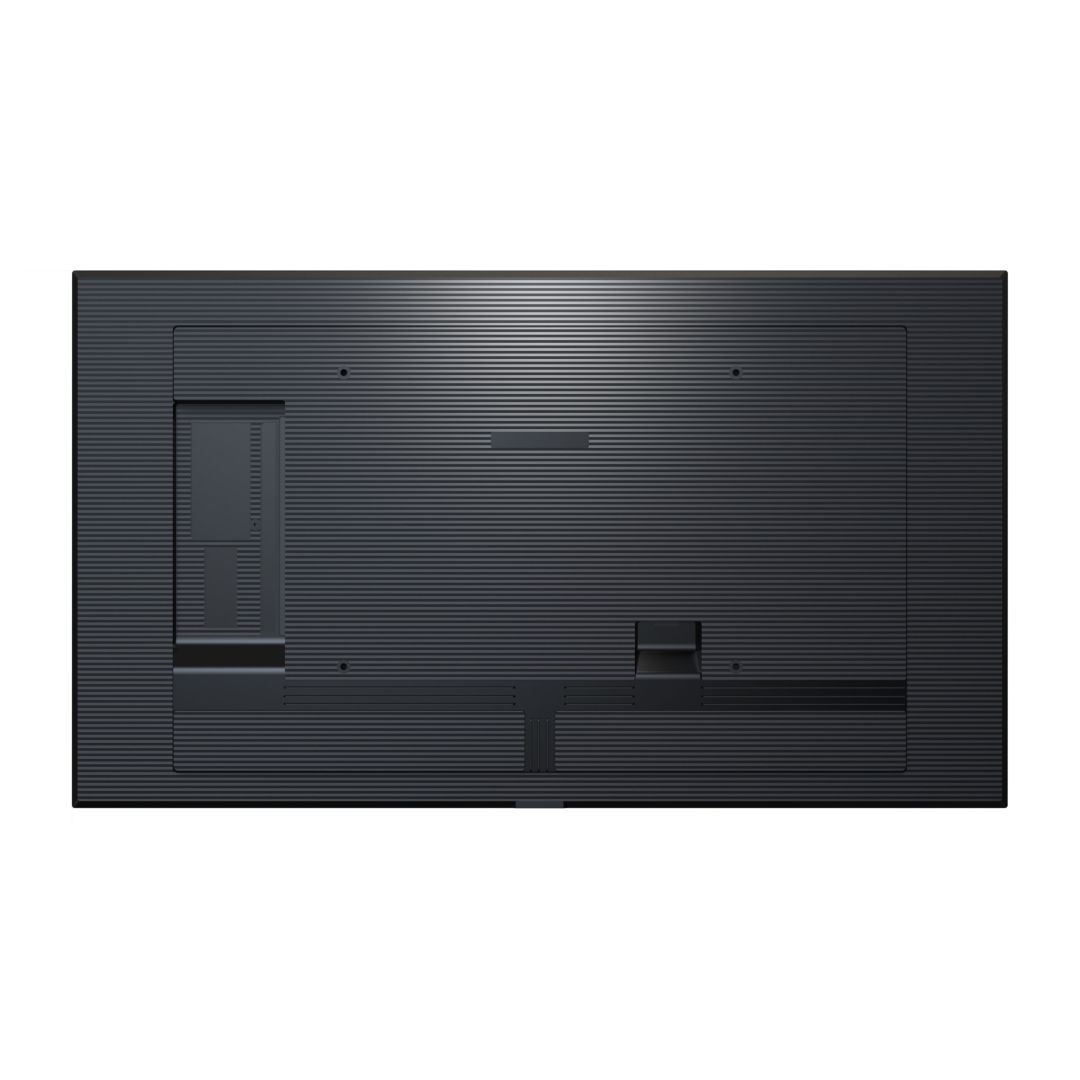 AG Neovo 31,5