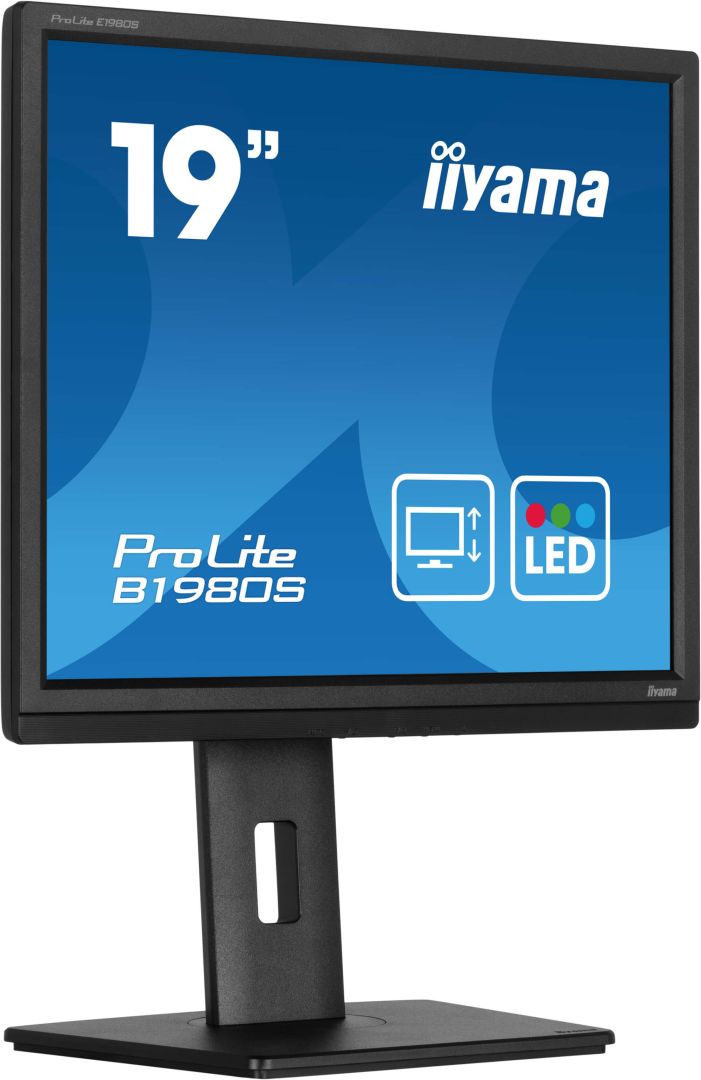 iiyama 19