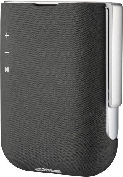 Viewsonic M1 Max