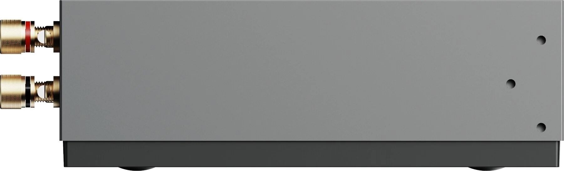 WiiM CI AMP MOD A80