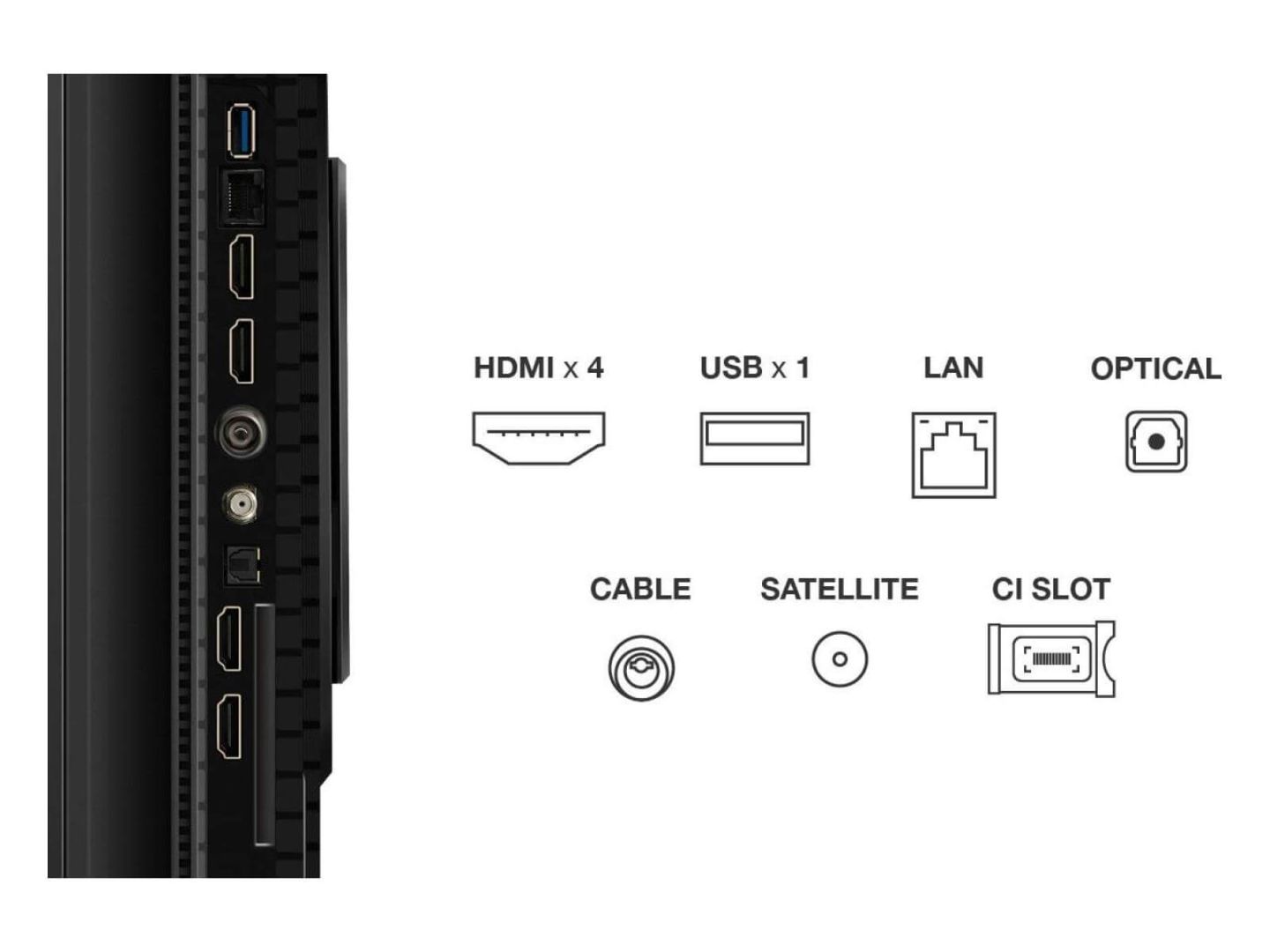 TCL 55