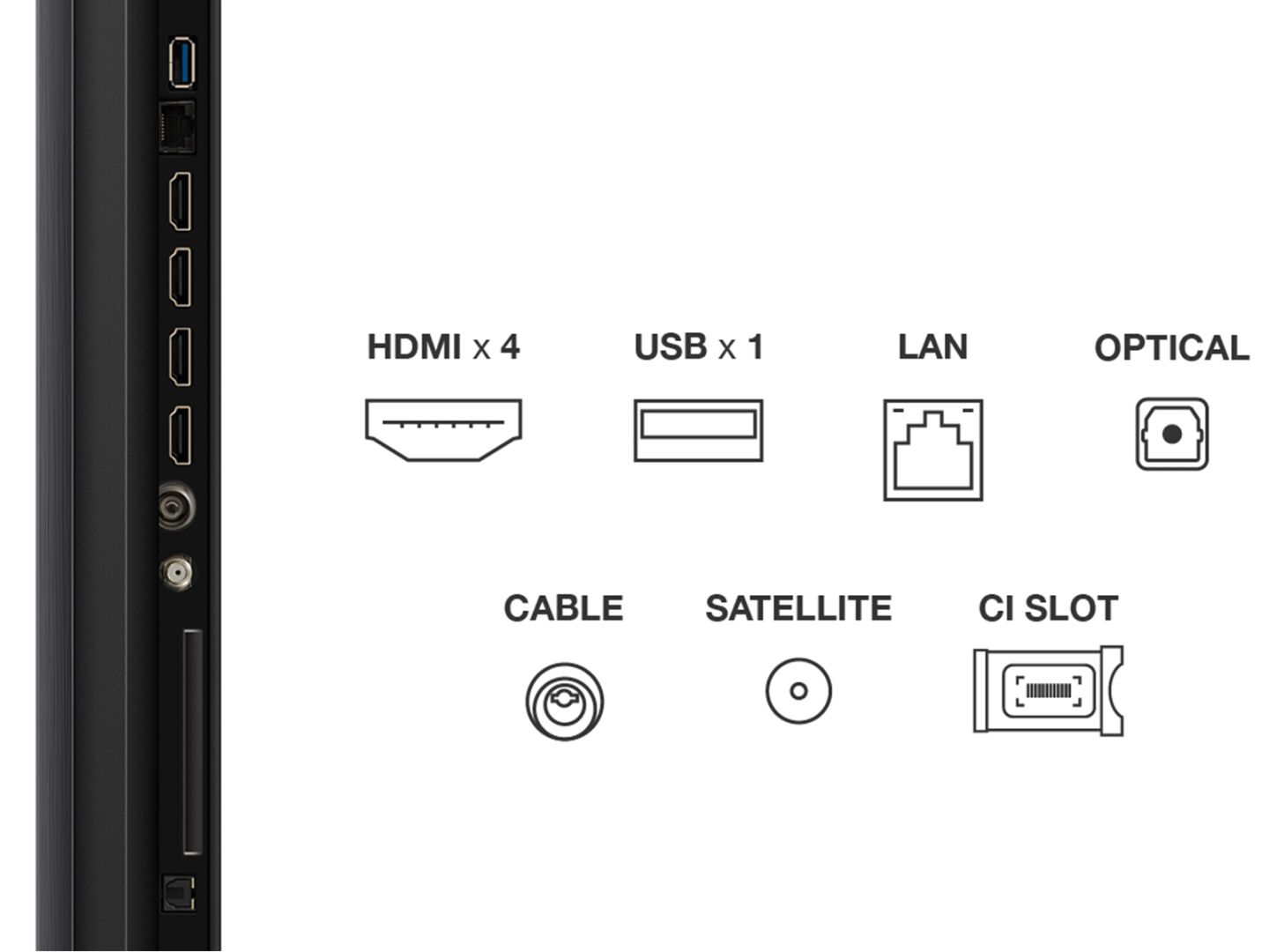 TCL 85