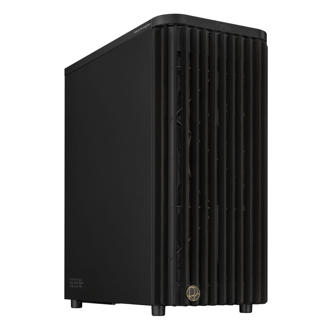 Asus ProArt PA401 Wood Edition Black