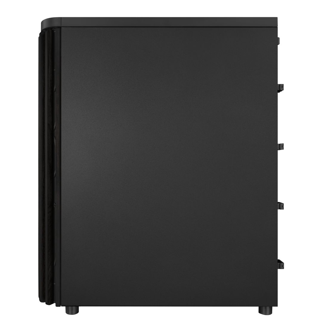 Asus ProArt PA401 Wood Edition Black