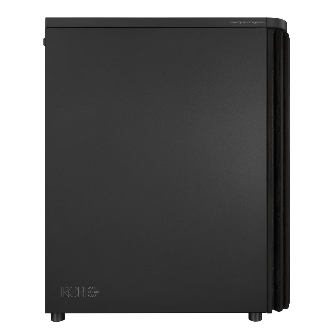 Asus ProArt PA401 Wood Edition Black