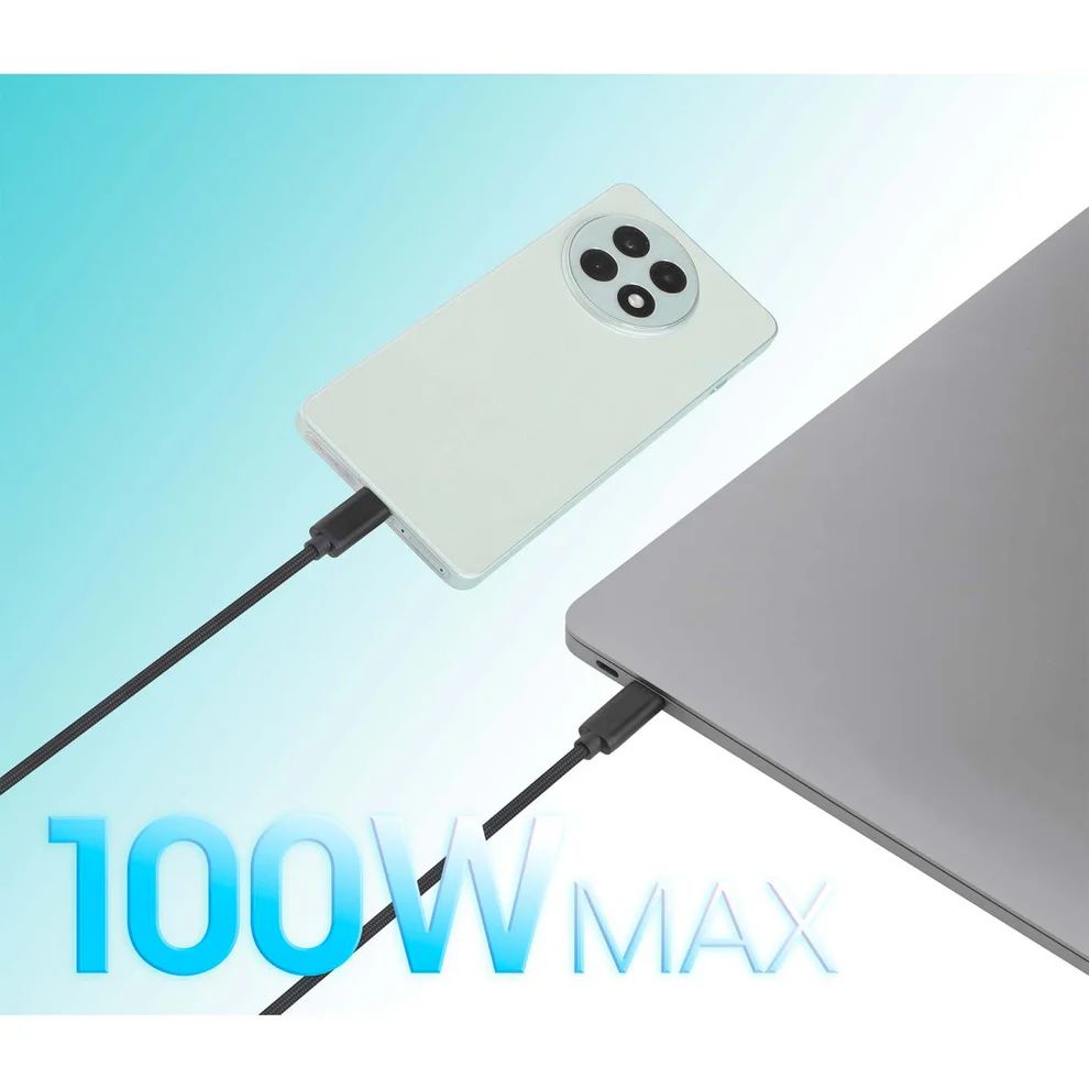Manhattan Dual USB-C Charging Cable 100W 2m Black