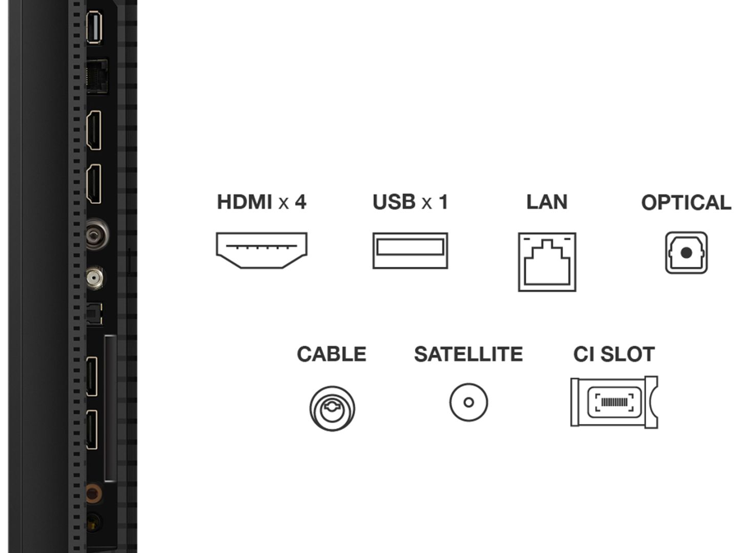 TCL 50