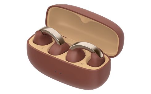 JVC HA-NP1T Bluetooth Headset Brown/Silver
