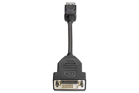 HP DisplayPort - DVI-D (Dual Link) Adapter Black