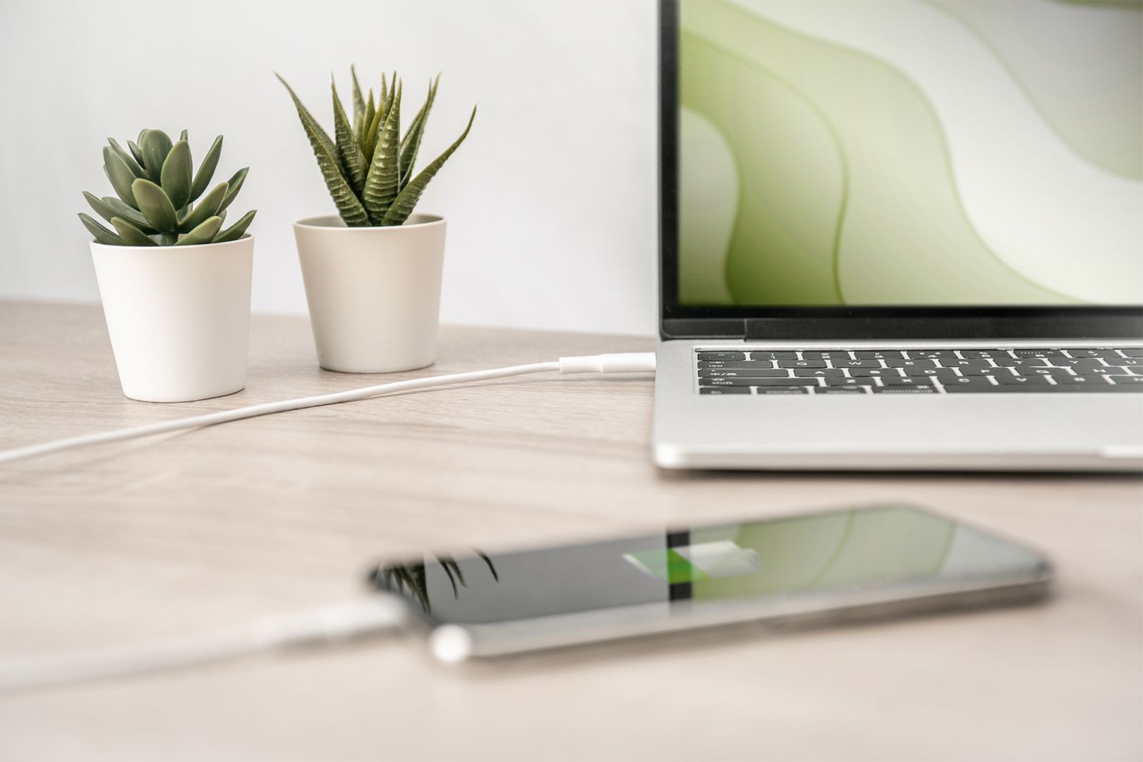 Digitus Data / Charger Cable USB-C - Lightning MFI 1m White