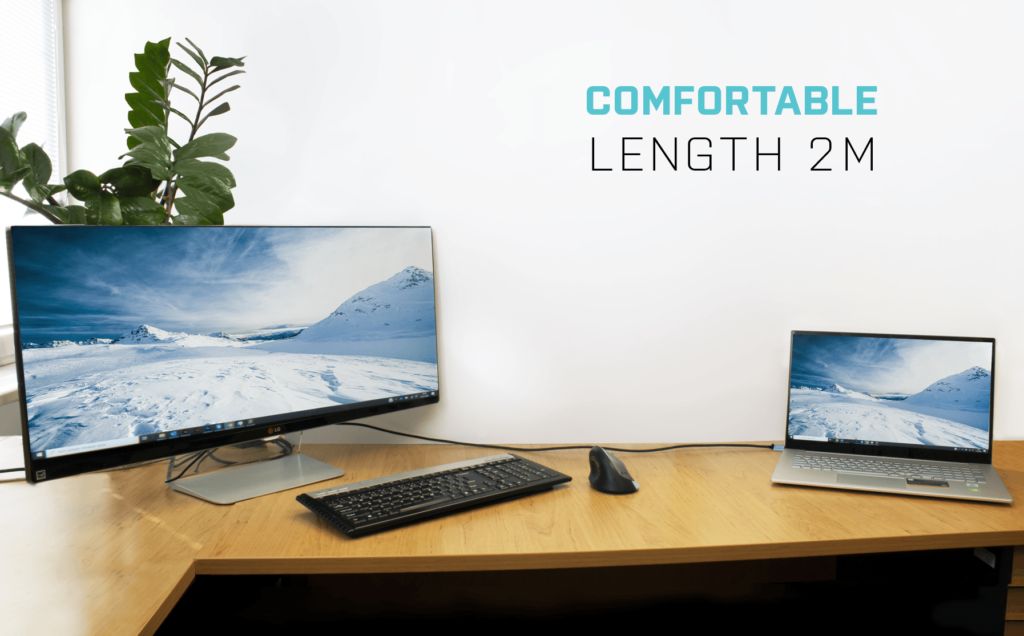 I-TEC USB-C DisplayPort Cable Adapter 4K/60Hz 2m Black