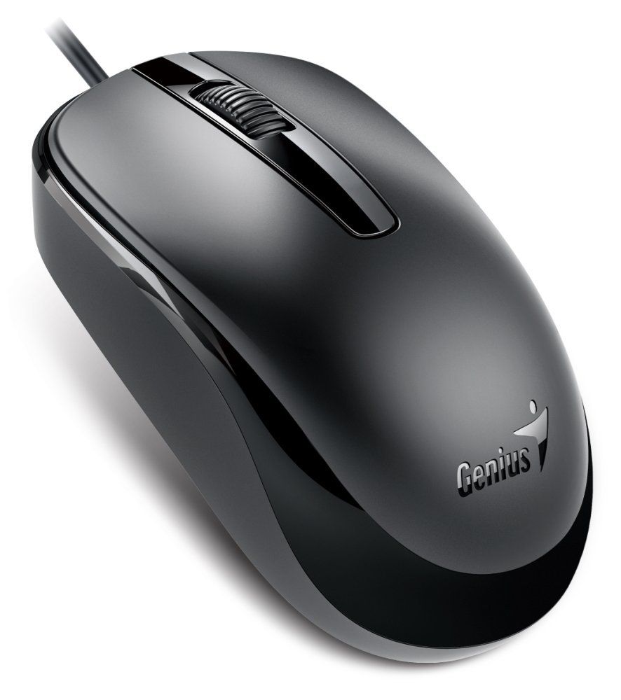 Genius DX-120 Mouse Black Type-C
