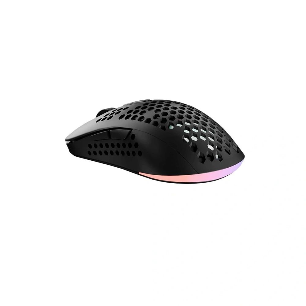 Avax LW01 PAW3327 RGB Gamer Mouse Black