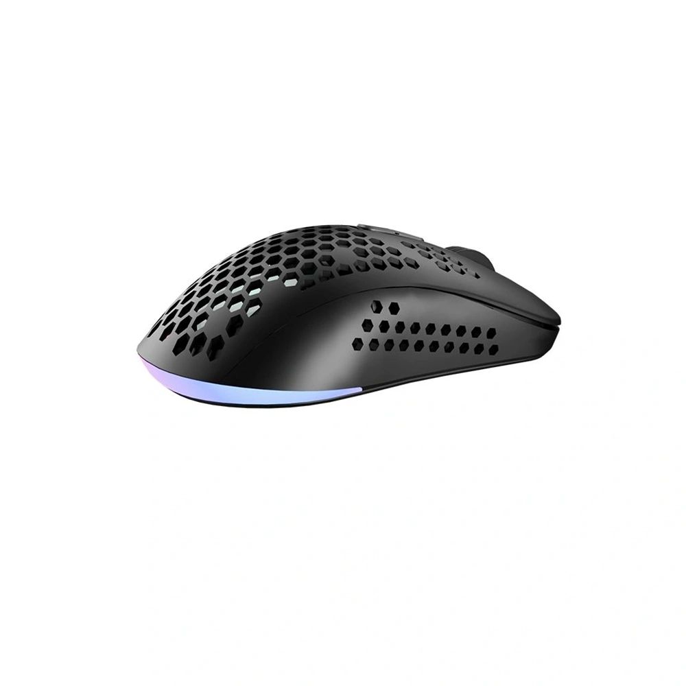 Avax LW01 PAW3327 RGB Gamer Mouse Black