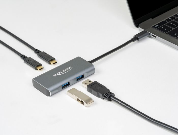 DeLock External USB 3.2 Gen 2 USB Type-C Hub with 2x USB Type-A and 2 x USB Type-C