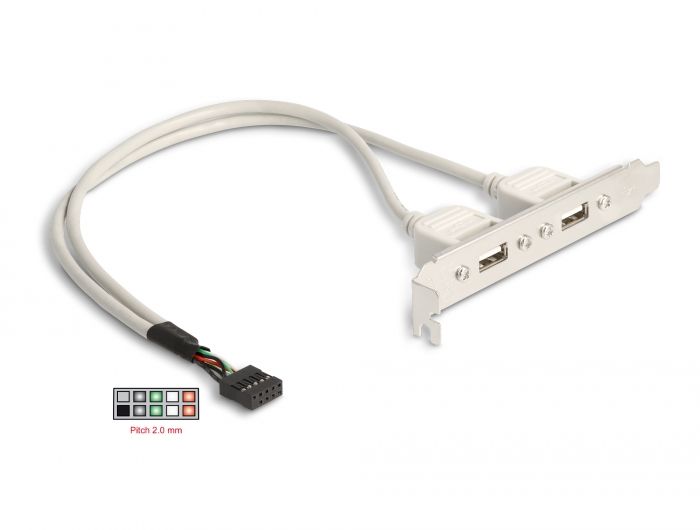 DeLock Slot bracket 2 x USB 2.0 type A female external