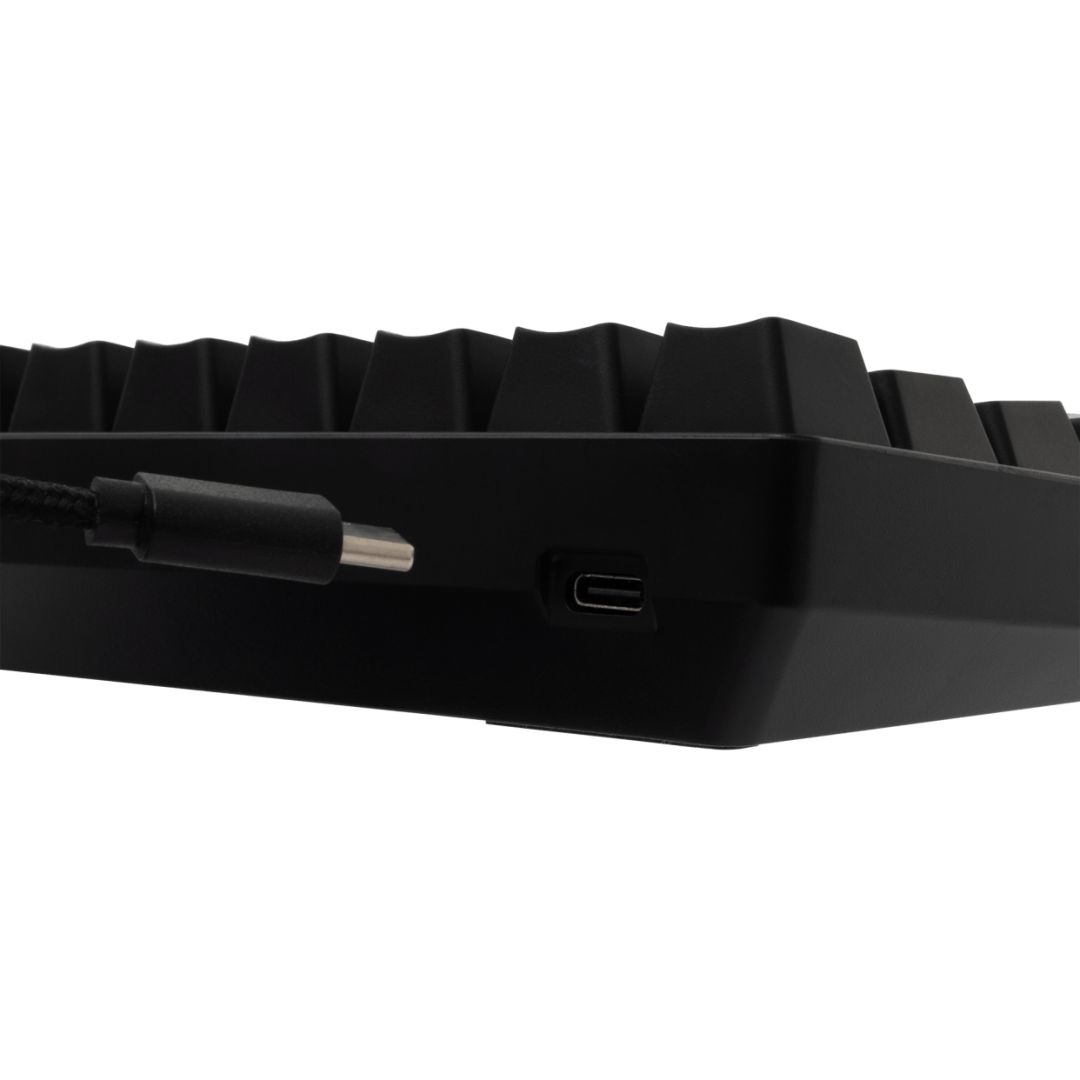 White Shark Shinobi 2 RGB Gaming keyboard Black US