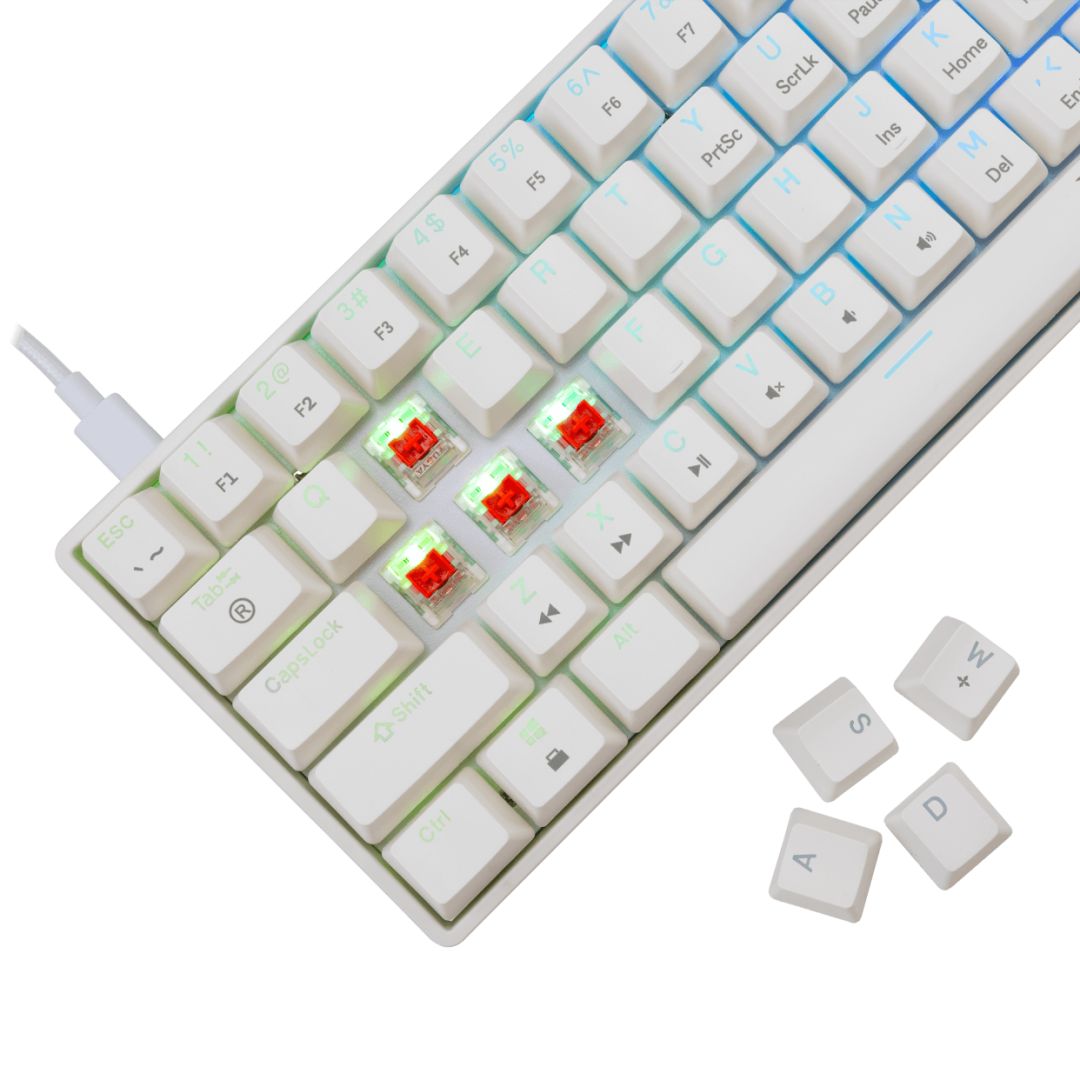 White Shark Shinobi 2 RGB Gaming keyboard White US