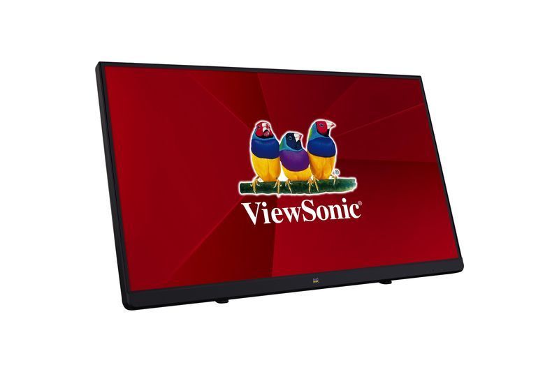 Viewsonic 22