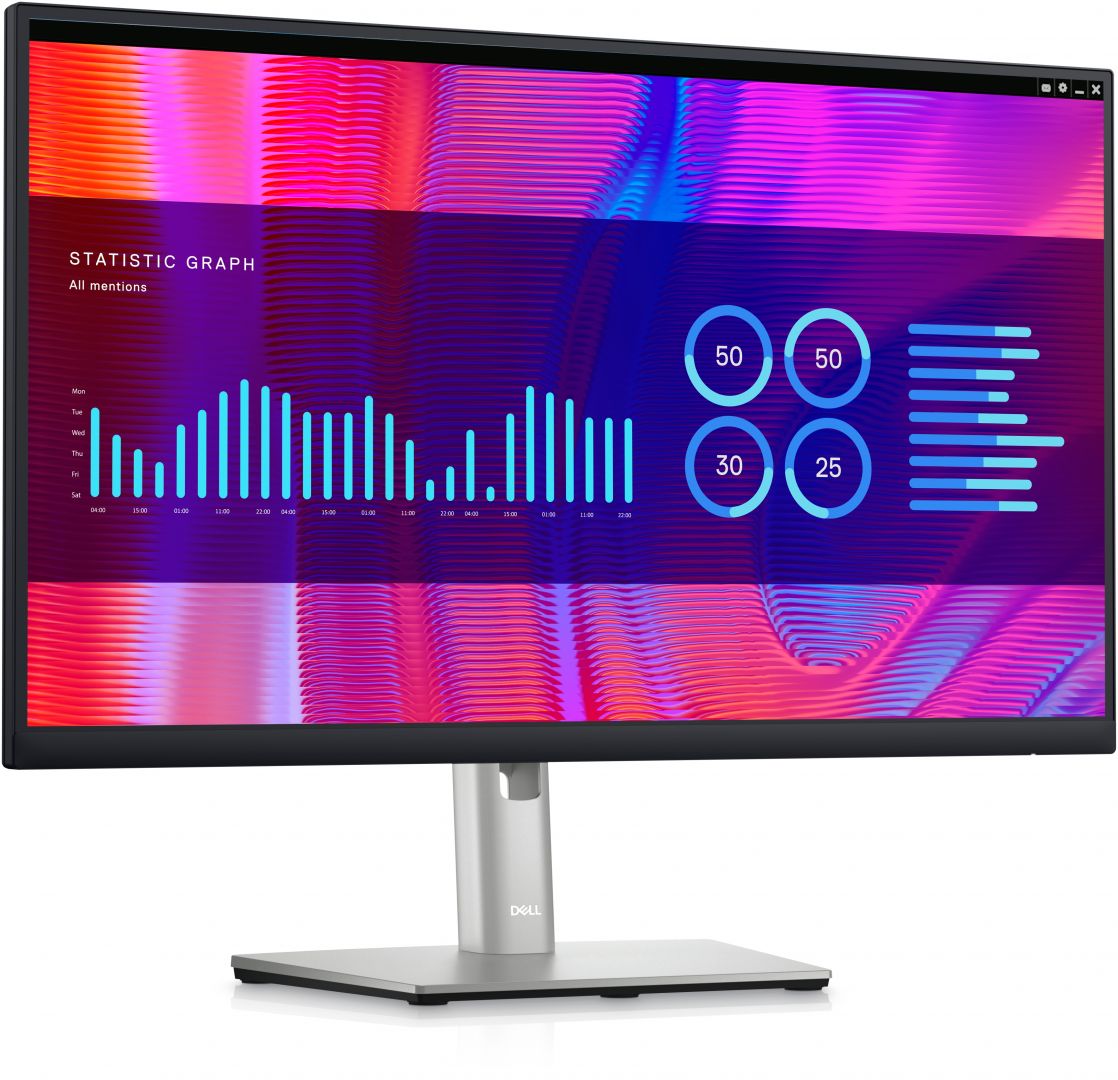 Dell 24