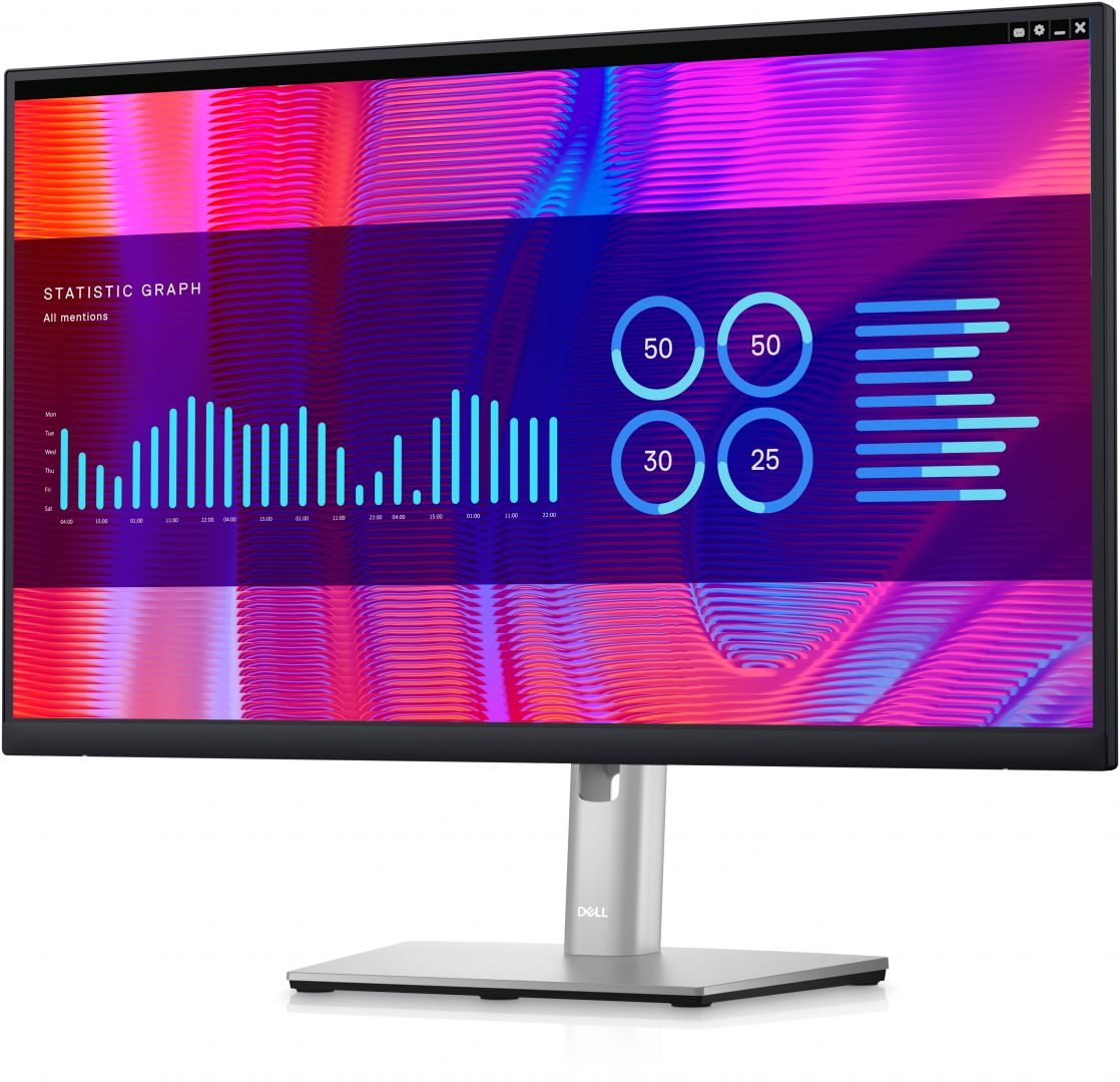 Dell 24