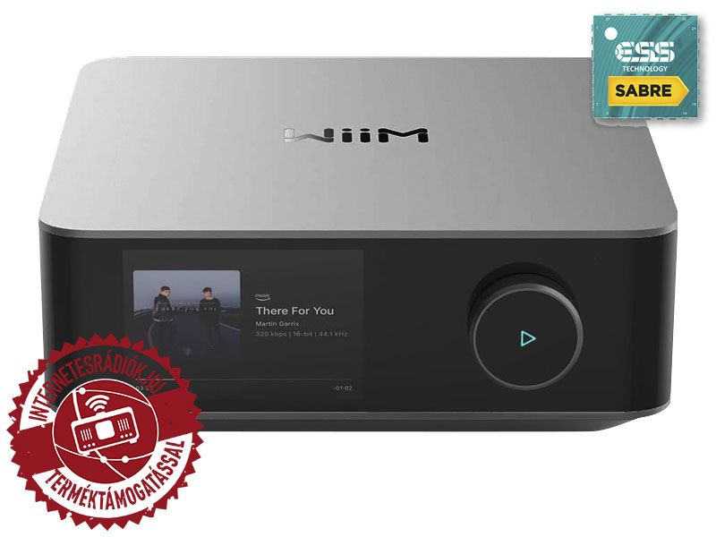 WiiM AMP Ultra Space Grey