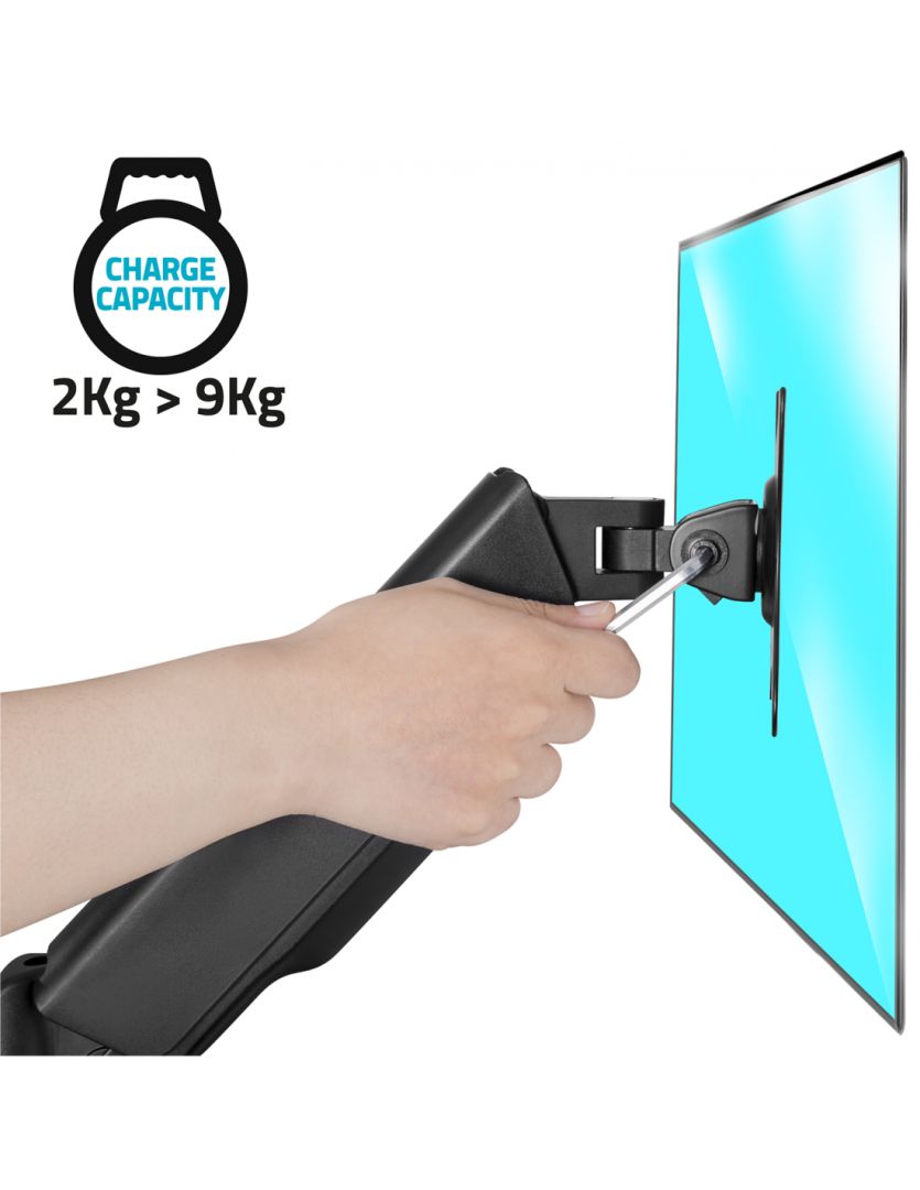 Advance ErgoMounts Single 17