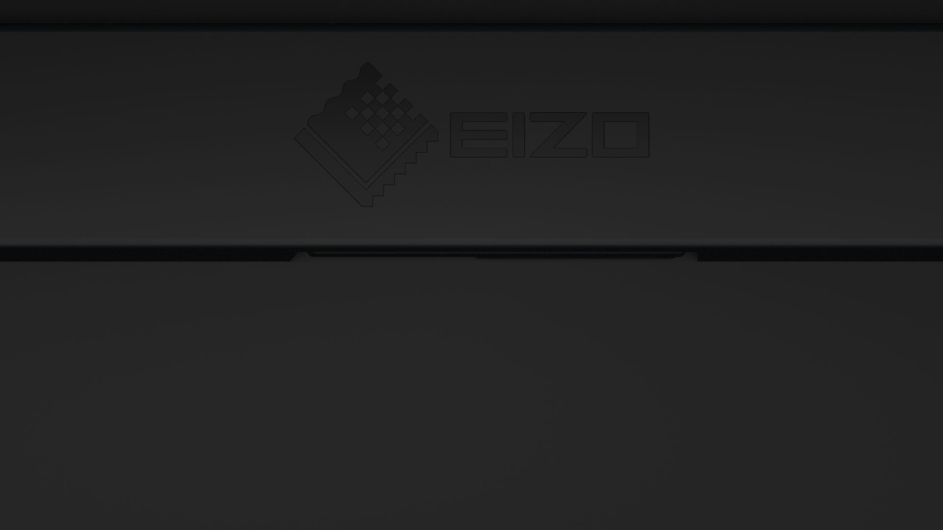 Eizo 24