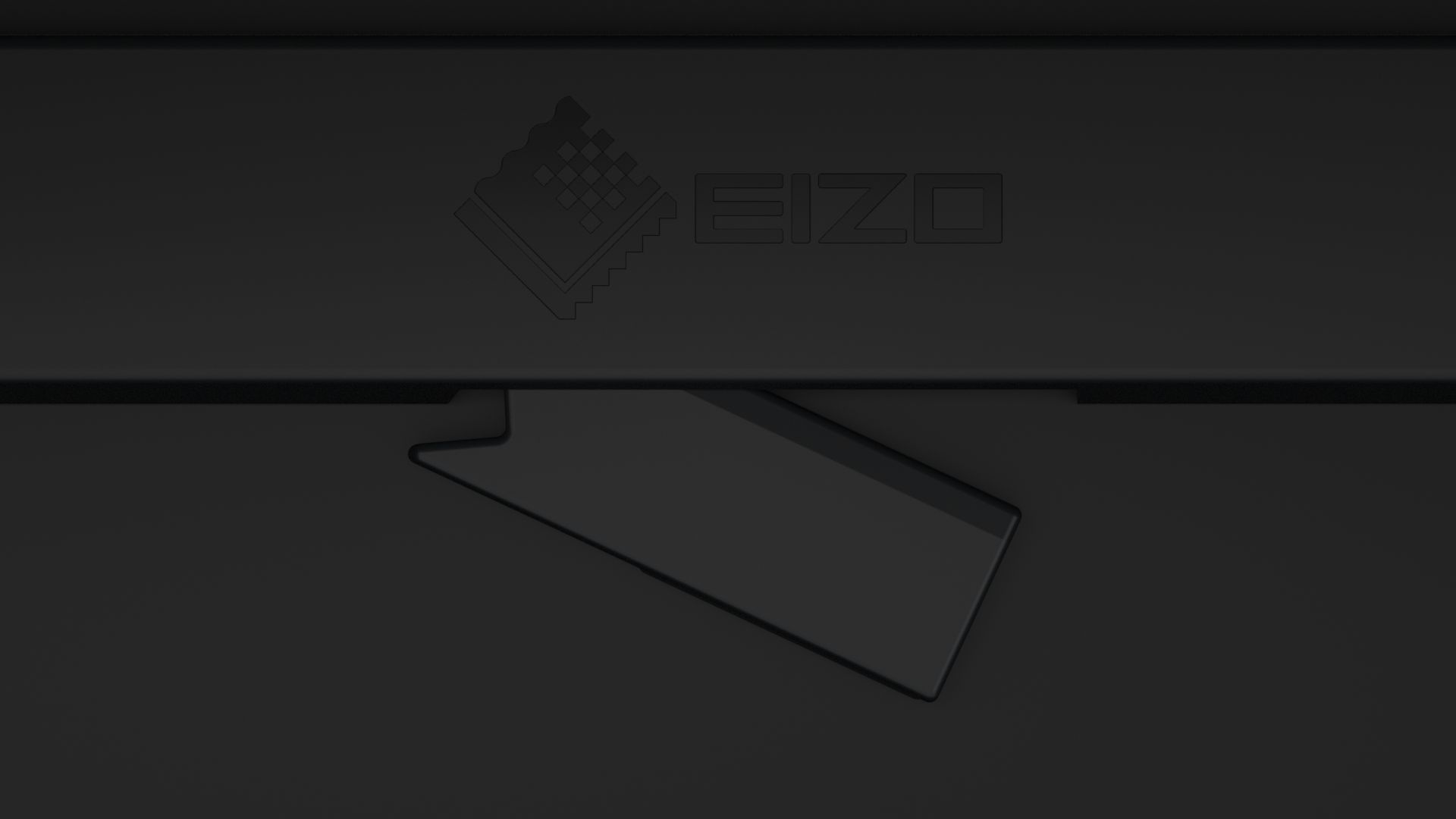 Eizo 24