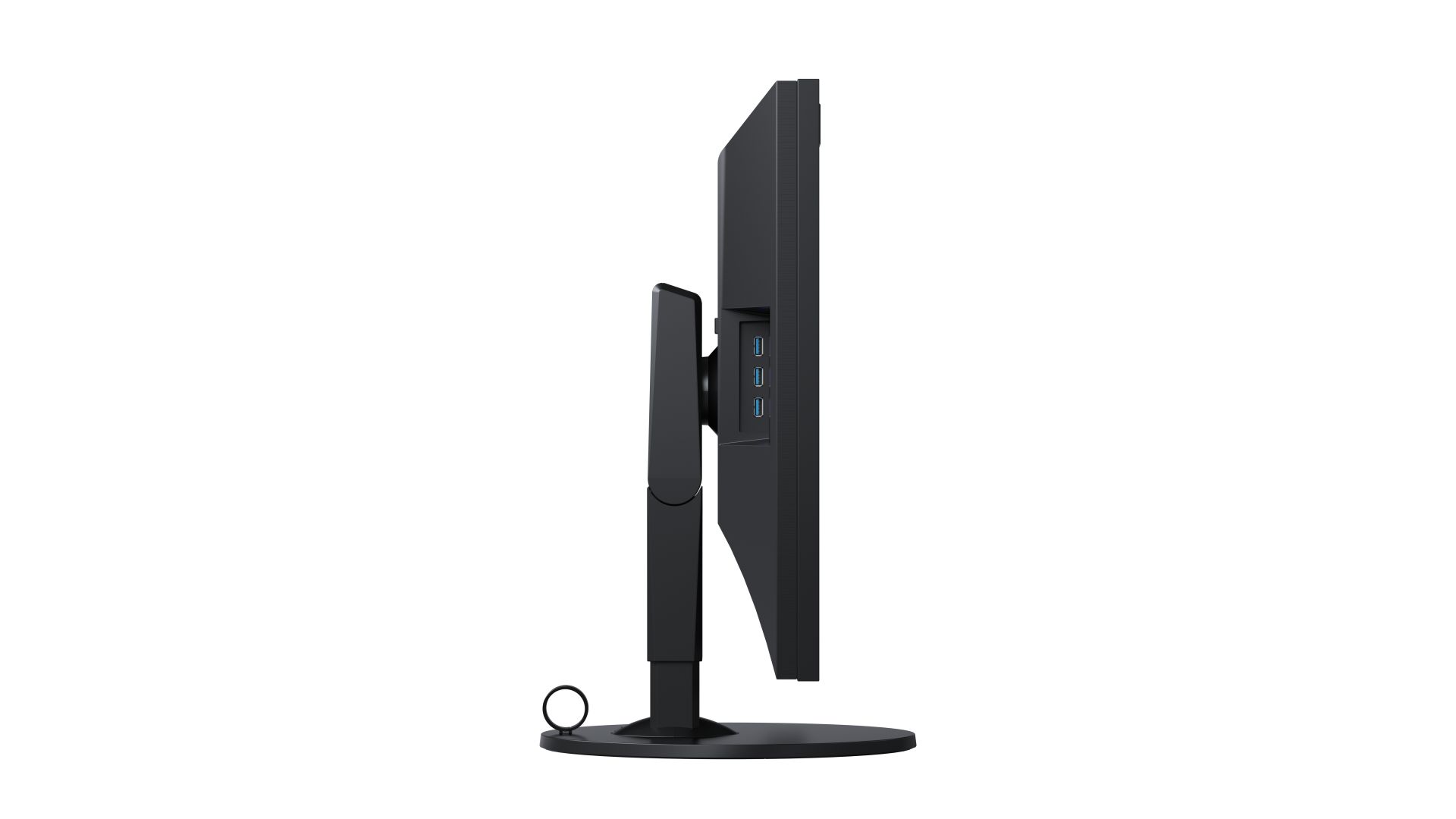 Eizo 31