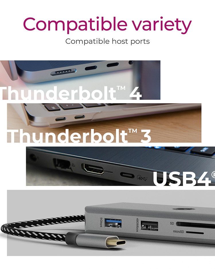 Raidsonic Icy Box IB-DK4012-CPD 9in1 USB Type-C DockingStation Black