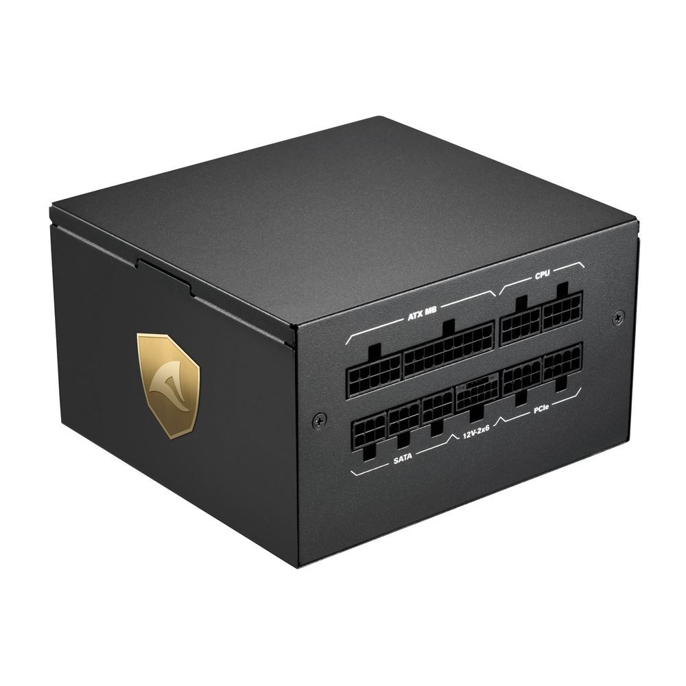 Sharkoon 750W 80+ Gold Rebel P20