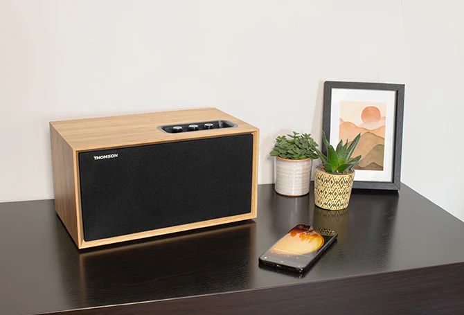 Thomson WS502 Wooden Compact Residential Speaker Wood