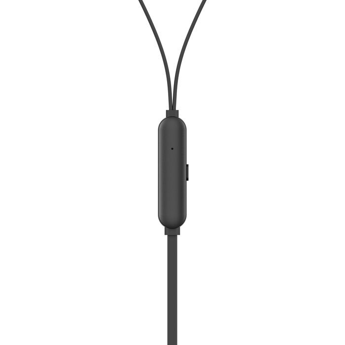 Belkin Wired ANC Earphones (USB-C) Black