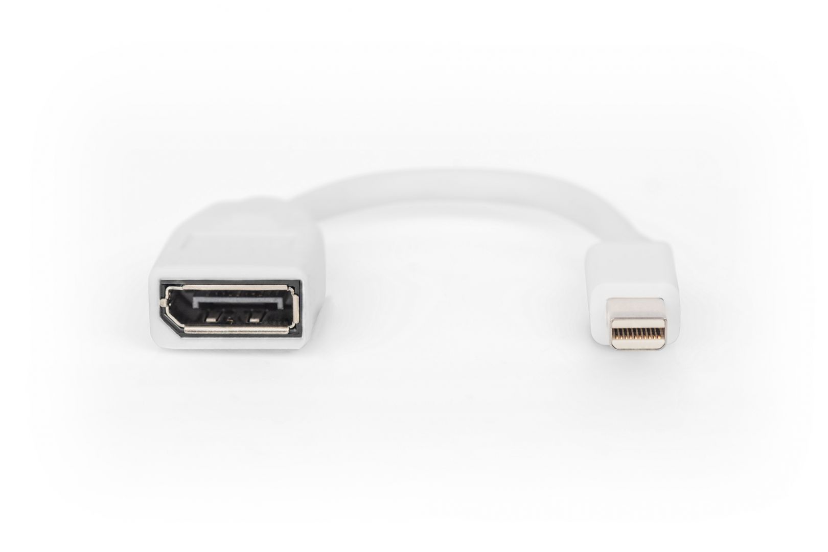 Digitus DB-340405-001-W adapter cable mini DP - DP 0,15m White