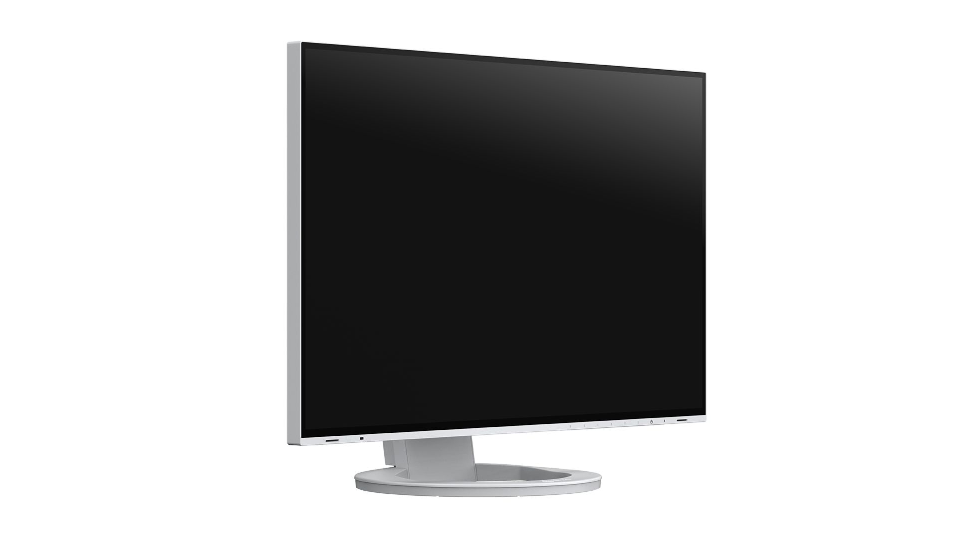 Eizo 24,1