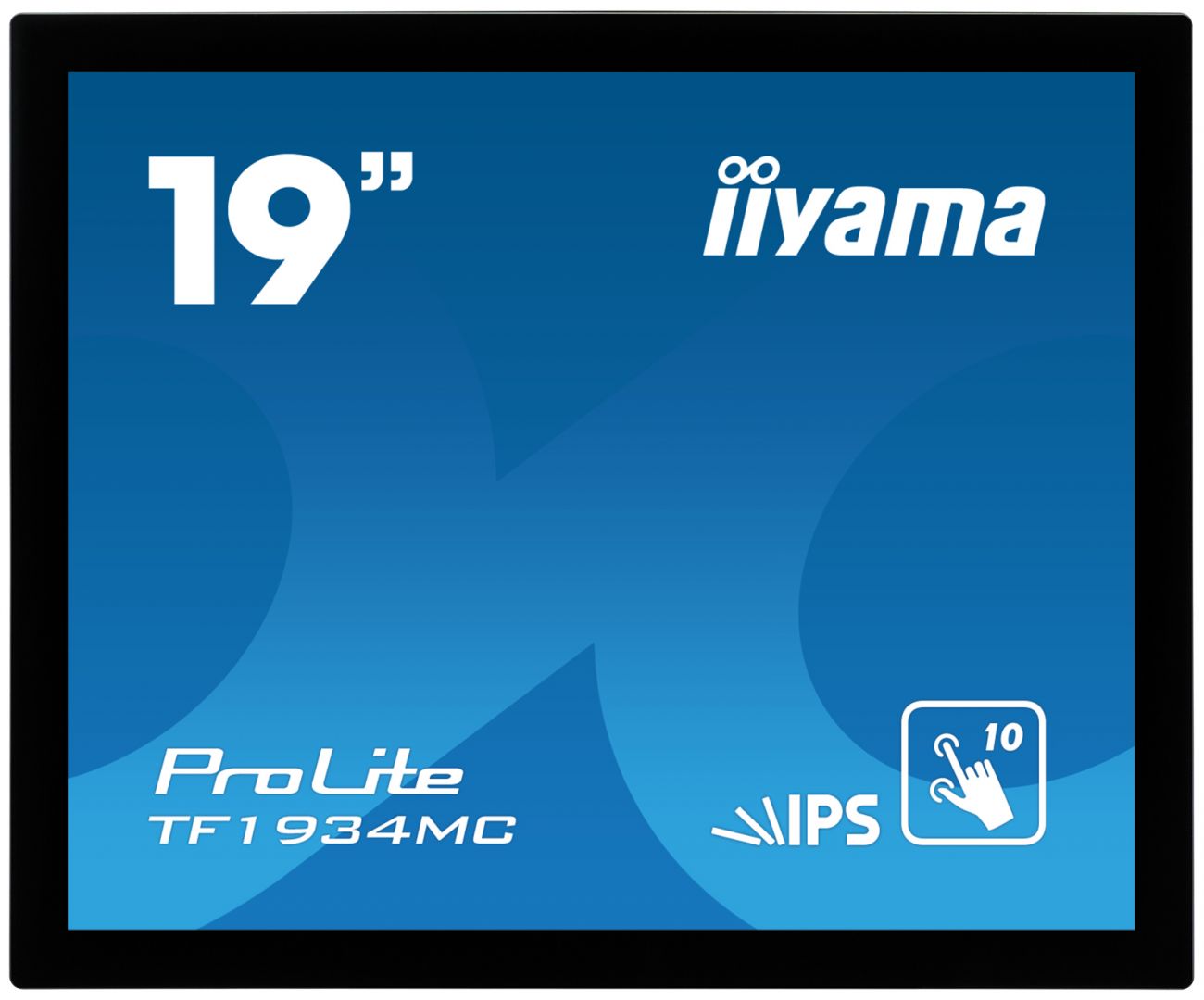 iiyama 19