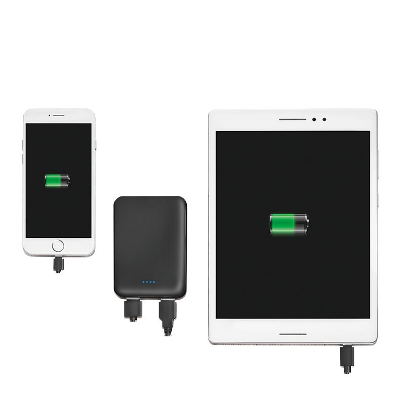 Logilink 2x USB-A 5000 mAh PowerBank Black