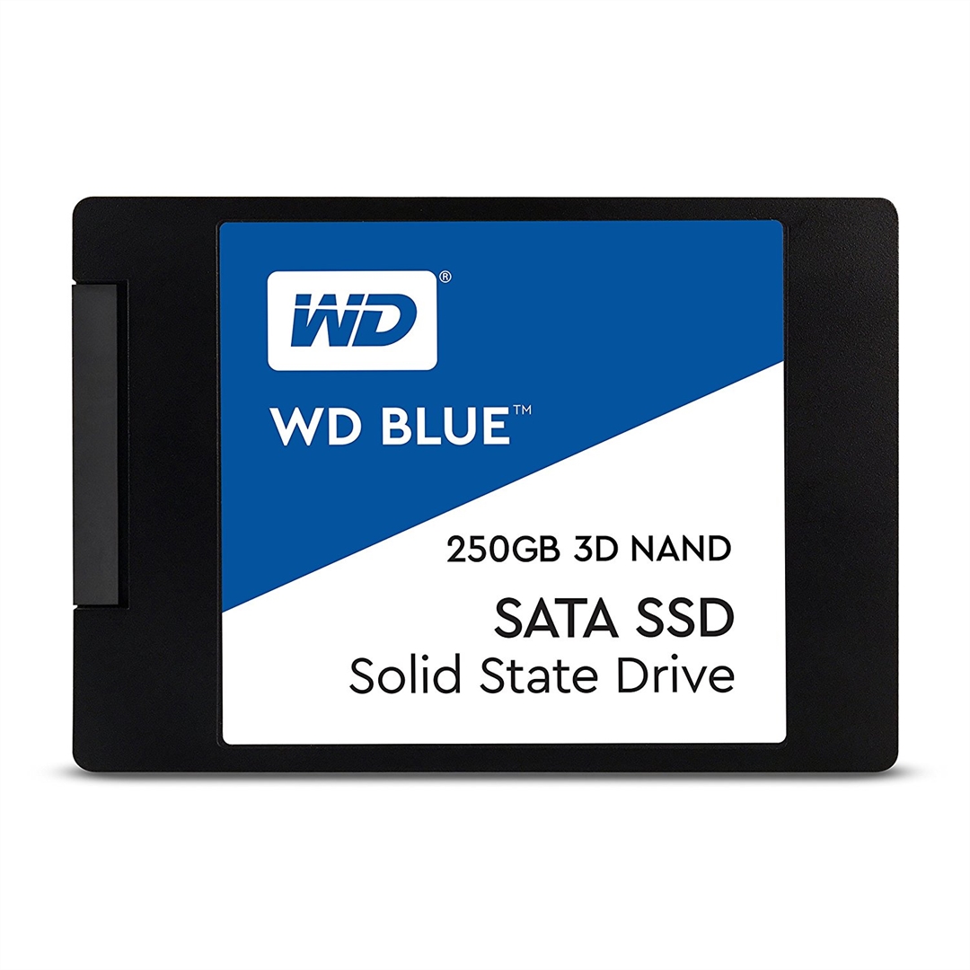 Western Digital 250GB 2,5