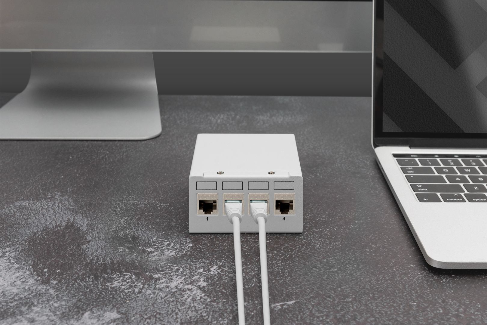 Digitus 4-port Patch Panel 1U Grey