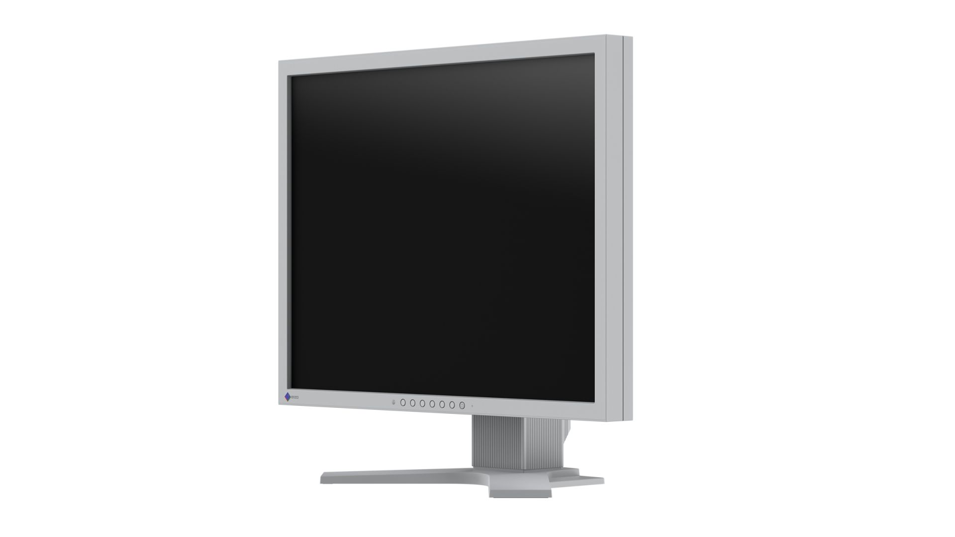 Eizo 21,3