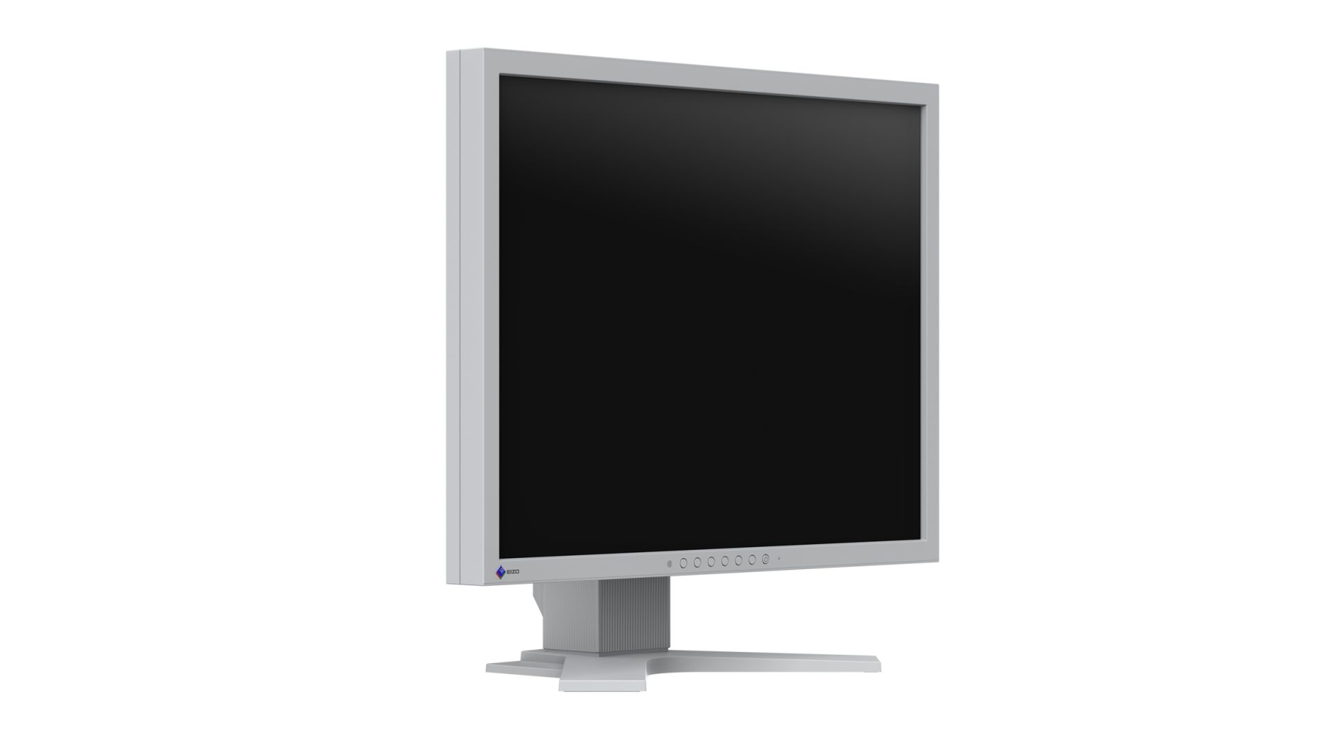 Eizo 21,3