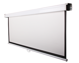 Funscreen Matt White Rollo 200x200 cm Format 1:1 + Tok Black