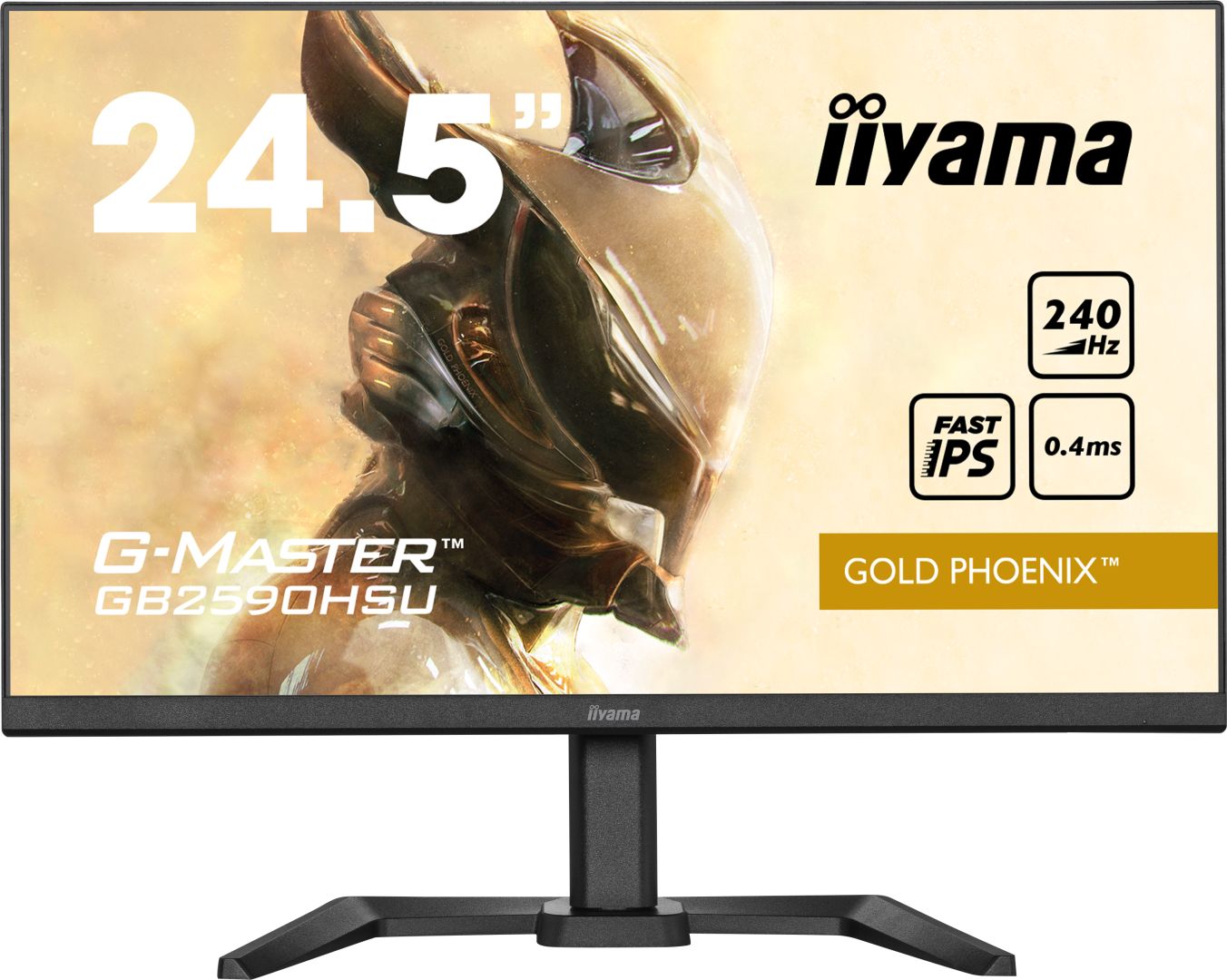 iiyama 24,5