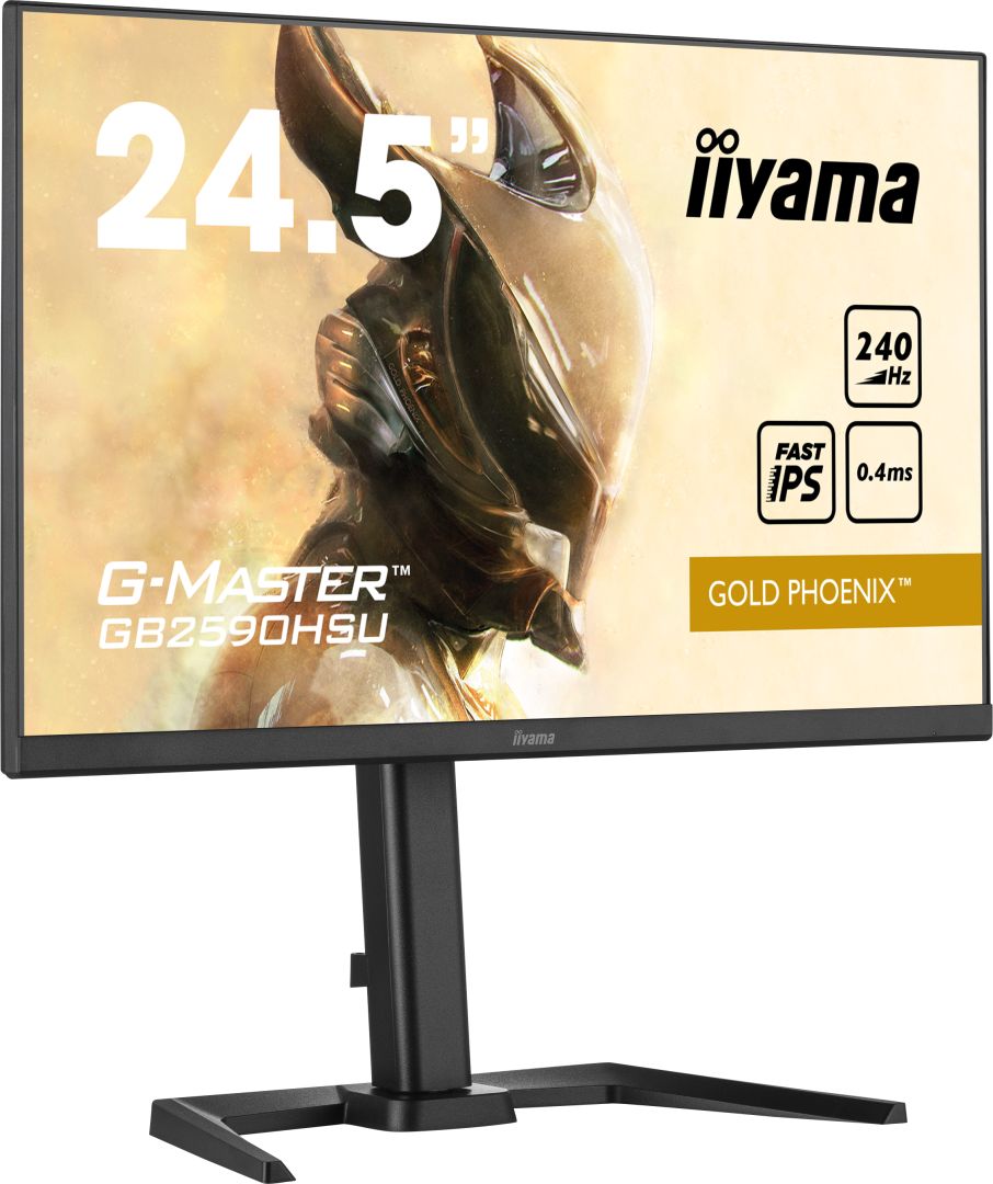 iiyama 24,5