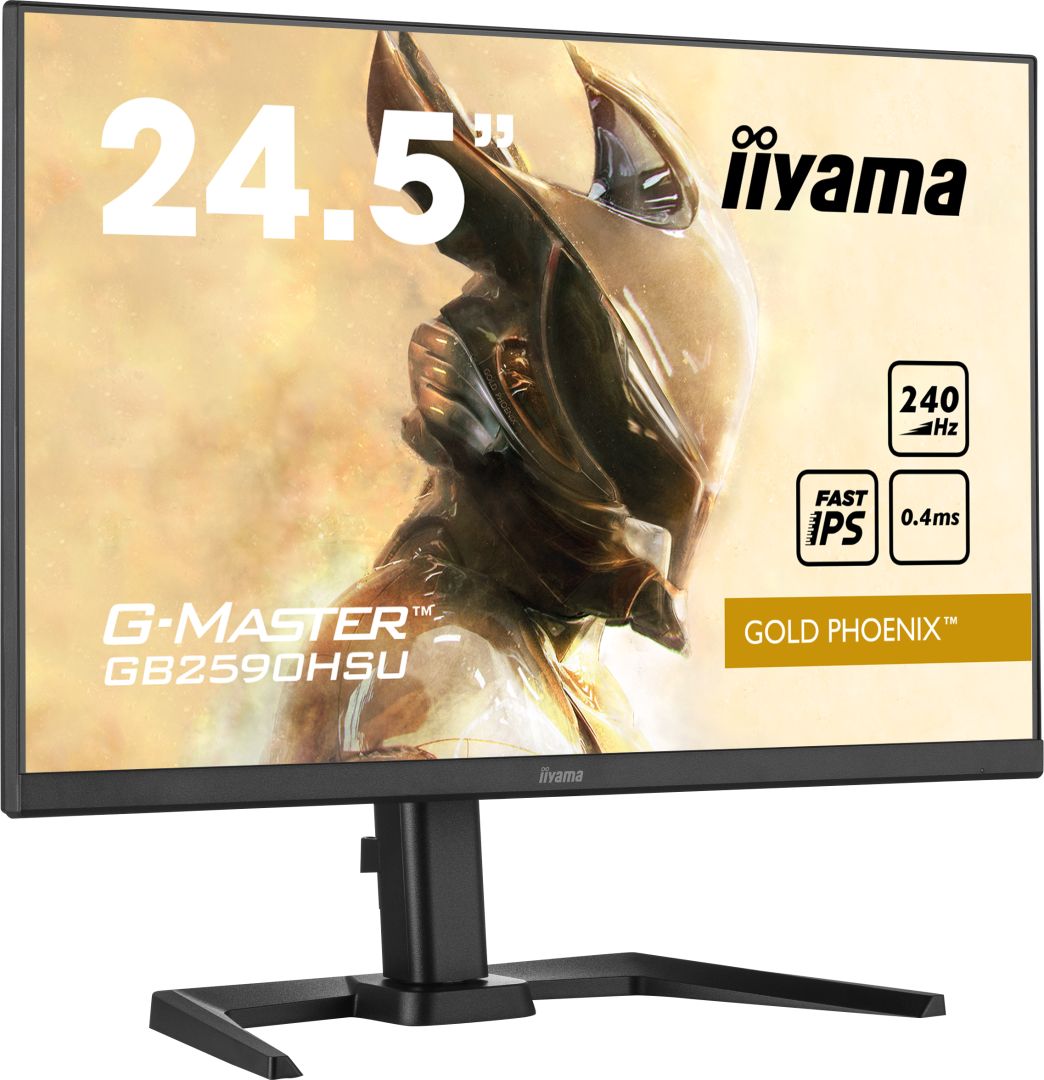 iiyama 24,5