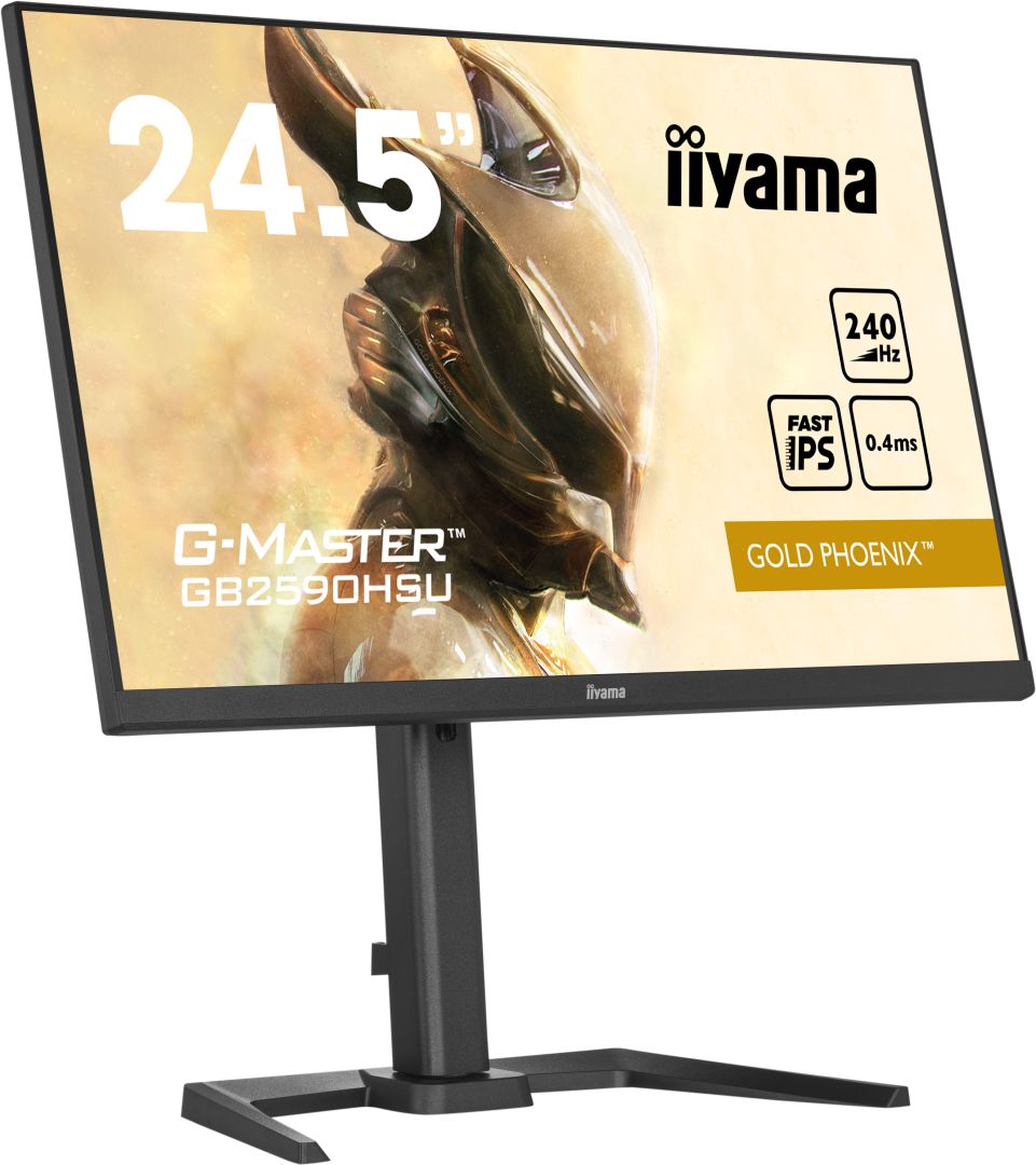 iiyama 24,5