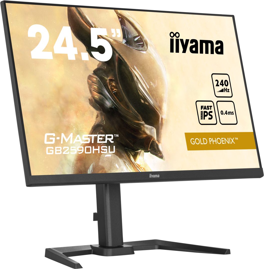 iiyama 24,5